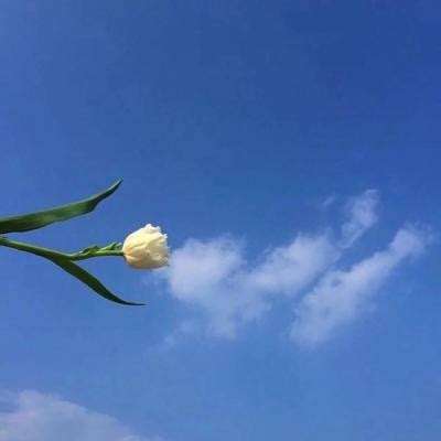 乐鱼app官网登录入口苹果版截图4