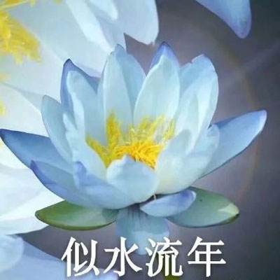 《2023自然指数—科研城市》发布 北京蝉联全球第一科研城市