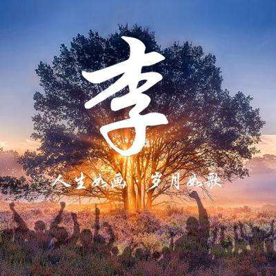 社区小食堂 民生大文章