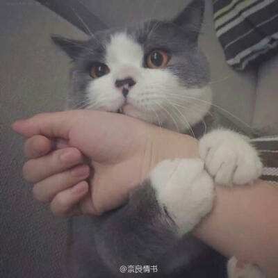 1号站娱乐 1号站娱乐
