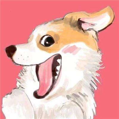 来彩网