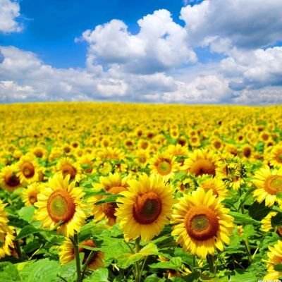 宁夏城阳乡明园小学举行揭牌仪式 特色音乐支教助力乡村教育振兴