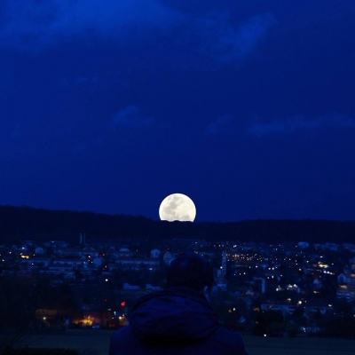 星空体育截图