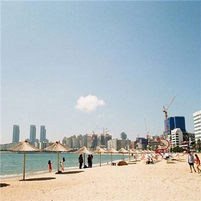 网赌软件在线下载截图3
