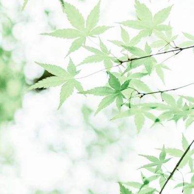 神彩争霸8截图2