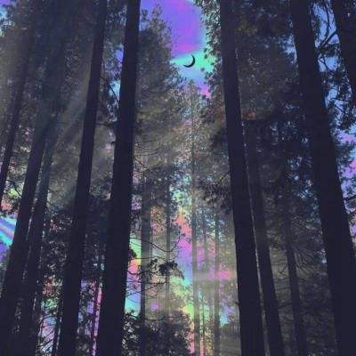 礁湖星云的活跃中心
