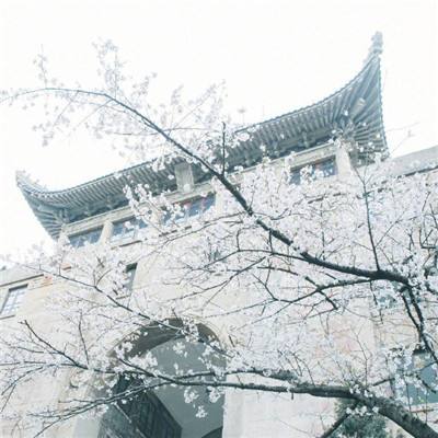 处理好文化数字化过程中的三种关系