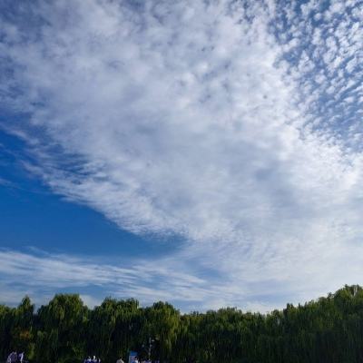 “真能装”上路就被查沈阳公安交警曝光超载案例