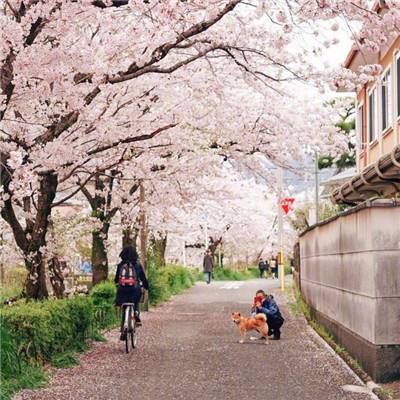 北京雄安迈入