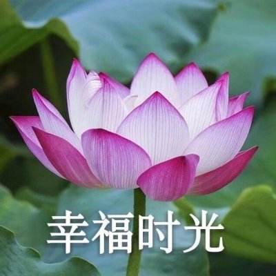 重庆一处柑橘堆放地多人疑似中毒，为什么柑橘会产生致命毒气？