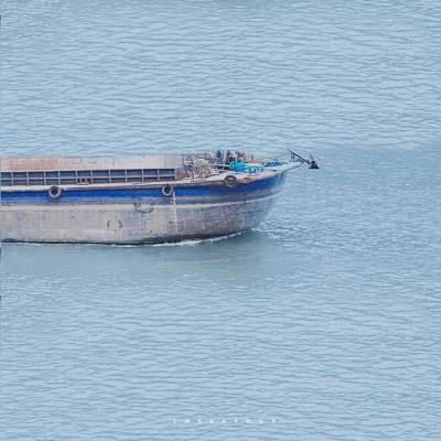 为祖国大地绿起来、美起来尽一份力量