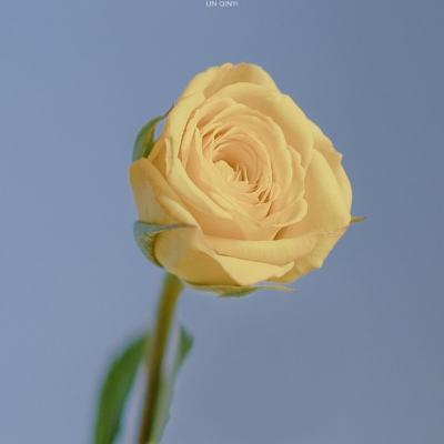 “雪龙2”号新年再出发 船员海上跨年祈心愿