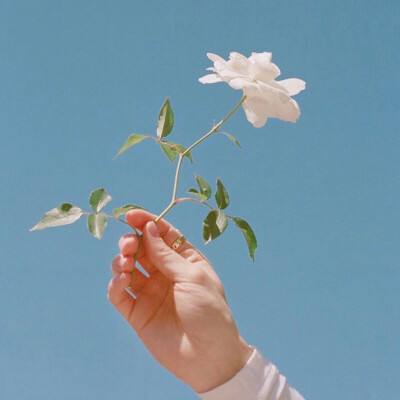 谢娜唱哭了