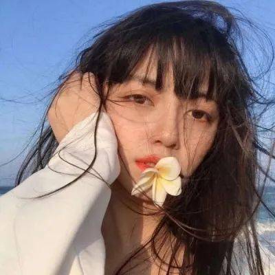 怎样优化联合作战体系