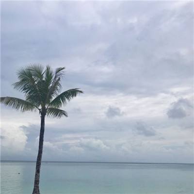 守护好人们对体育的激情