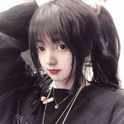 球盟会登录入口