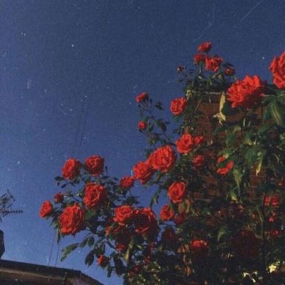 一场“智囊会” 新兵“站C位”