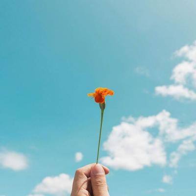 最新动态：俄宣布更换特别军事行动总指挥 乌方在基辅实施联合反情报行动