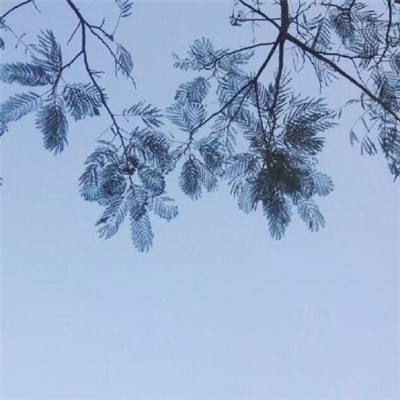印象新贵州——“高质量发展调研行”贵州见闻录