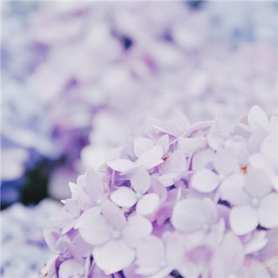 河南新密古城寨遗址发现夏代宫殿建..