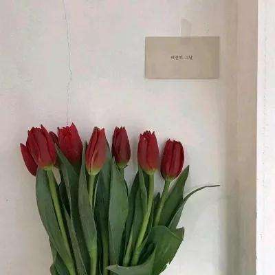孟子义开口吓死我了