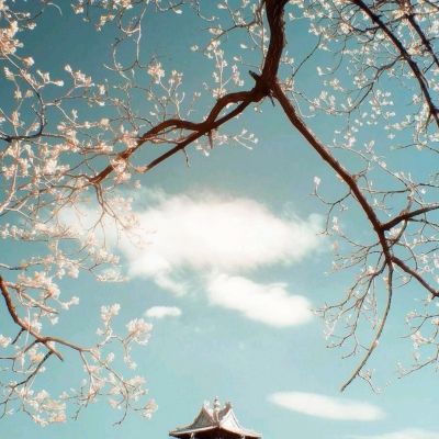 国际年终观察：中方倡议助力构建全球人工...