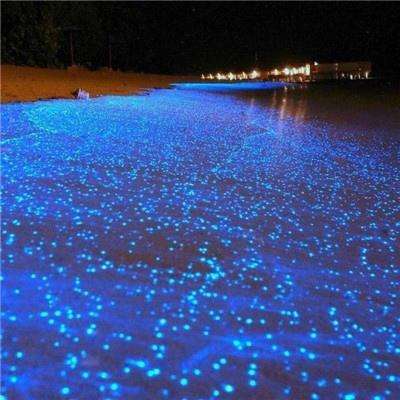 太阳集团城网站2017