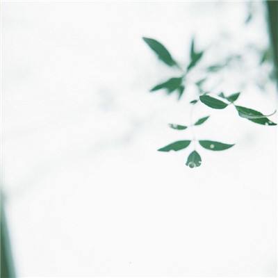 产经北京证券交易所2023年新增77家上市公司