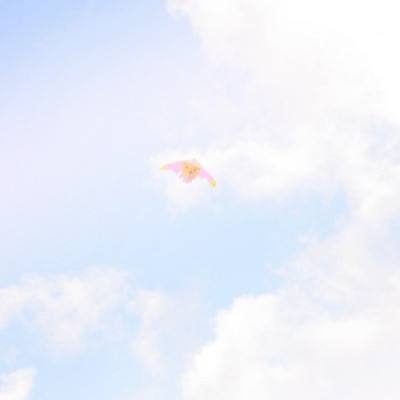 抖音