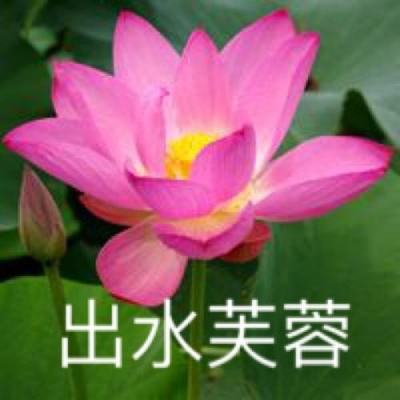 “纪念袁运甫诞辰90周年暨袁运甫艺术教育思想研讨会”举办
