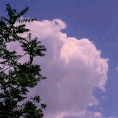 深圳病例感染德尔塔毒株 莞惠临深地区全员核酸检测
