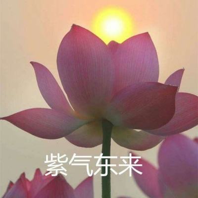 [网连中国]随到随打、送“苗”上门，各地多举措提高新冠疫苗日接种能力