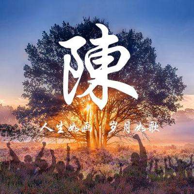 战略支援部队特色医学中心提升为兵服务质效
