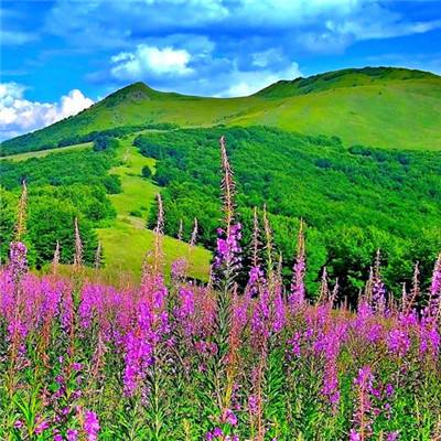 长江三峡热度不减 今年前八月接待游客1.5亿人次